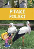 Ptaki Polski
