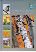 Ziemia Brzozowska