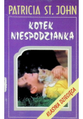 Kotek niespodzianka