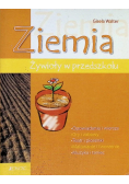Ziemia Żywioły w przedszkolu