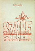 Szare szeregi na Rzeszowszczyźnie