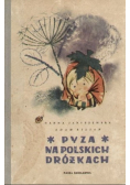 Pyza na polskich dróżkach Część II