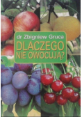 Dlaczego nie owocują