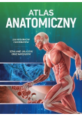 Atlas anatomiczny