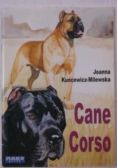 Cane Corso