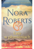 Lasy w płomieniach