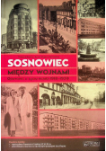 Sosnowiec między wojnami Opowieść o życiu miasta