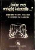 Drobne rysy w ciągłej katastrofie