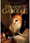 Strażnicy Ga Hoole Rozbicie