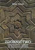 Zdobnictwo drewnianych domów na białostocczyźnie
