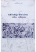 Arbeitslager Golleschau dzieje podobozu