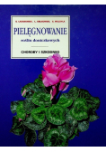 Pielęgnowanie roślin doniczkowych