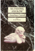Na pastwę aniołów