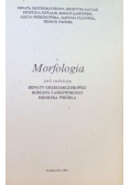 Morfologia