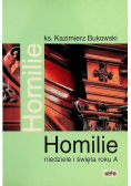 Homilie niedziele i święta roku A