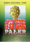 Pałer