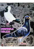 Hodowla gołębi