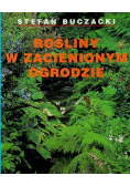 Rośliny w zacienionym ogrodzie