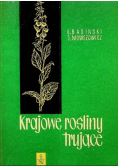 Krajowe rośliny trujące