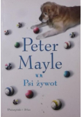 Psi żywot