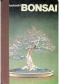 Bonsai
