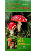 Kieszonkowy atlas grzybów