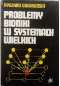 Problemy bioniki w systemach wielkich