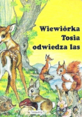 Wiewiórka Tosia odwiedza las