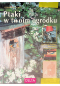 Ptaki w twoim ogródku
