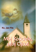 Mój Kościele, ufaj Ojcu!