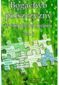 Bogactwo polszczyzny w świetle jej historii Tom 6