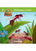 Mieszkam w lesie  Mrówki