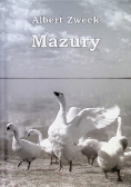 Mazury