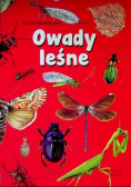 Owady leśne