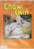 Chów świń
