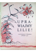 Uprawiajmy Lilie Ilustrowany Poradnik Uprawy Lilii