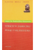 Strach w zameczku