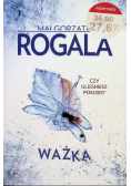 Ważka