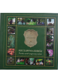 Szczawno-Zdrój