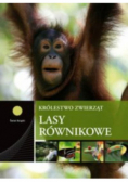 Lasy równikowe