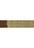 Atlas anatomii człowieka Tom 1 do 3