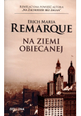 Na ziemi obiecanej