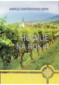 Homilie na rok A