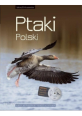 Ptaki Polski Encyklopedia ilustrowana