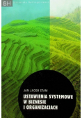 Ustawienia systemowe w biznesie i organizacjach