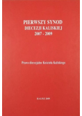 Pierwszy Synod Diecezji Kaliskiej (2007 - 2009)