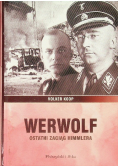 Werwolf ostatni zaciąg Himmlera
