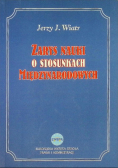Zarys nauki o stosunkach międzynarodowych