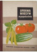 Uprawa warzyw w gospodarstwie