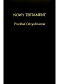 Nowy Testament Przekład Odzyskiwania